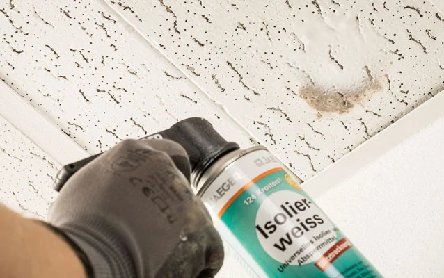 ISOLATE STAINS AND SEAL THEM PERMANENTLY Insulate, barrier and renovate